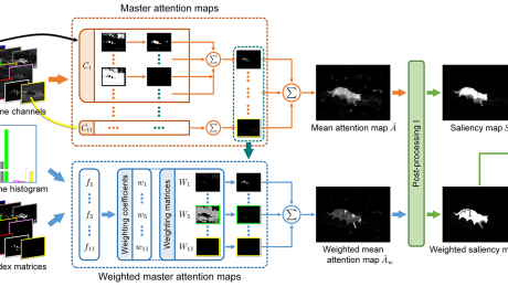 Exploiting Color Name Space for Salient Object Detection